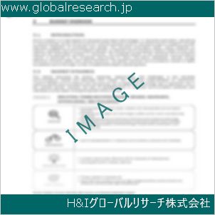 グローバルリサーチ調査資料のイメージ